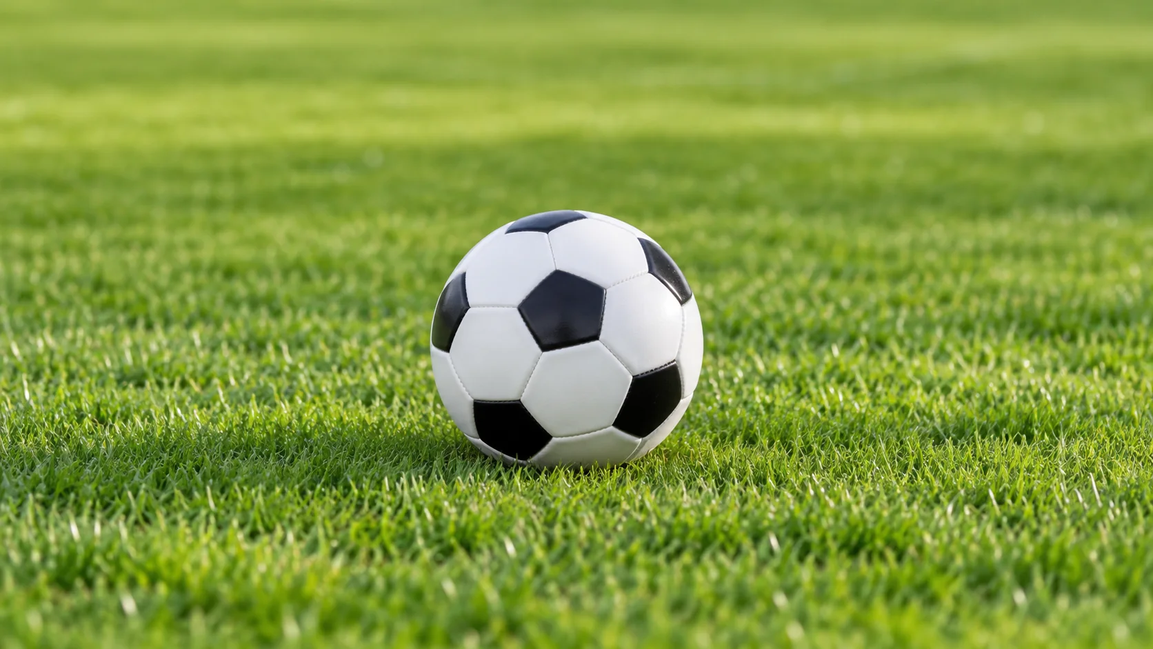 南京羽毛球队防反战术解析与热点动态深度剖析